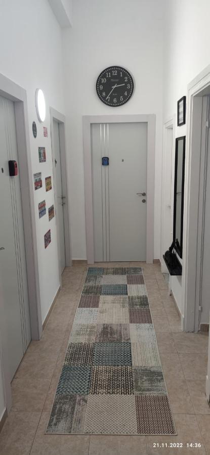 Guesthouse Comfy - Separate Rooms In The Apartment For A Relaxing Holiday Χάιφα Εξωτερικό φωτογραφία